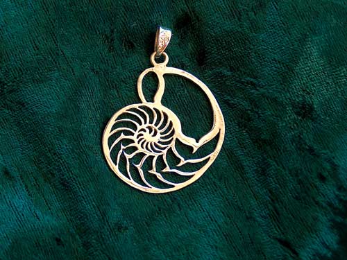 nautilus sea shell